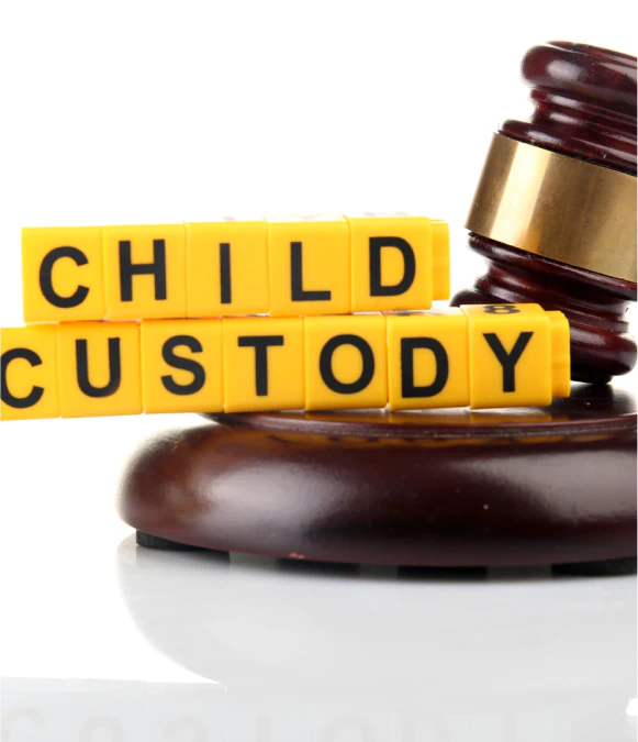 Custody Law